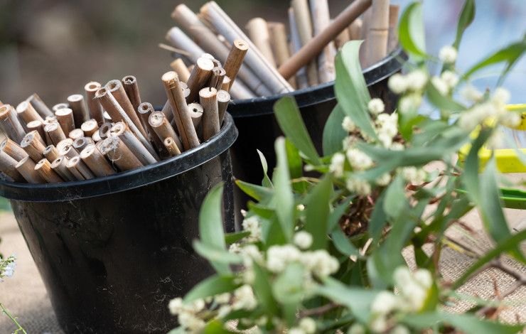 Gardening plants