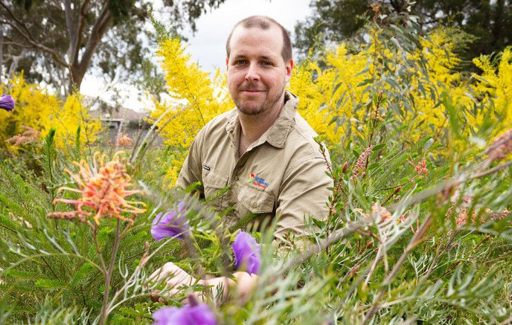 A man looking at some Australian flowers