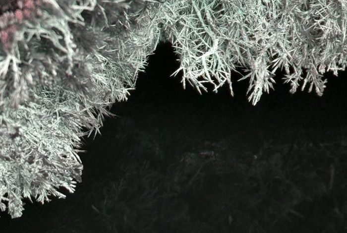 Crystals growing up close.