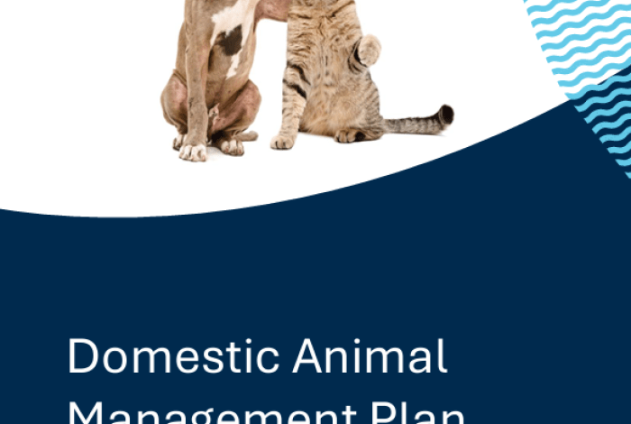 Domestic Animal Management Plan 2026-29