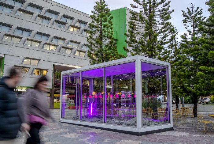 Field of Future Ecologies in situ in Harmony Square.