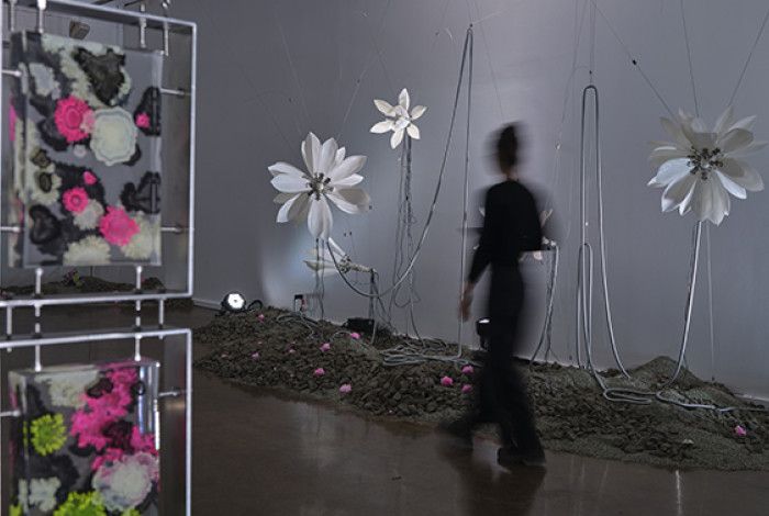 A person looking at an exhibition