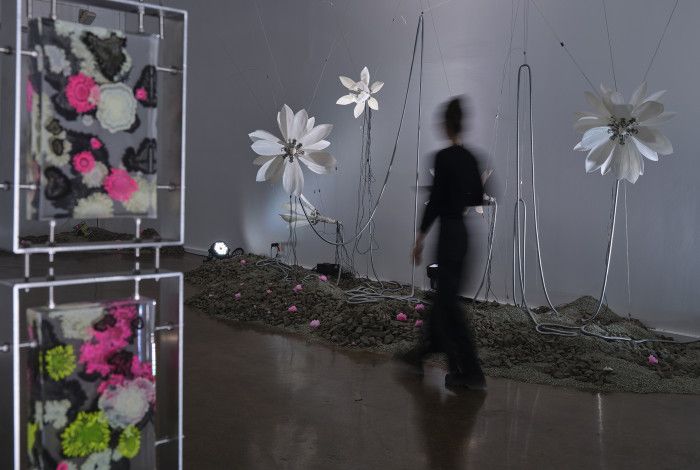 A person looking at an exhibition