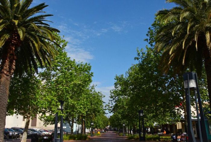 Palm Plaza