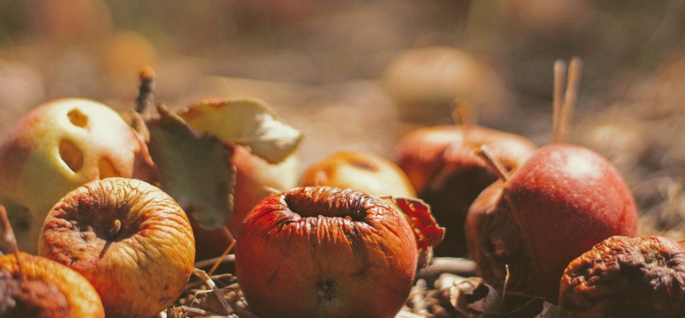 Composting