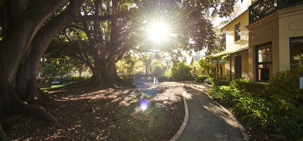 Heritage Hill gardens in the afternoon sun.