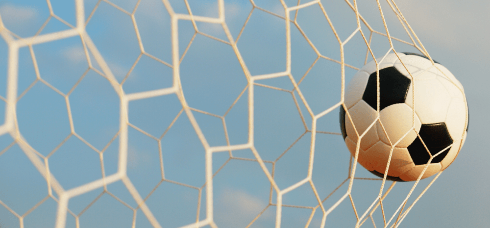 Soccer ball in goal net