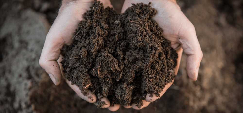 Soil