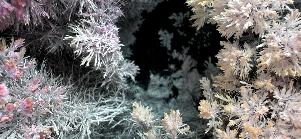 Crystals growing up close.