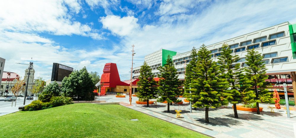 A stand of trees in front of a large civic building with a cloudy blue sky overhead.
