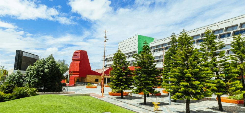 harmony square landscape with trees.