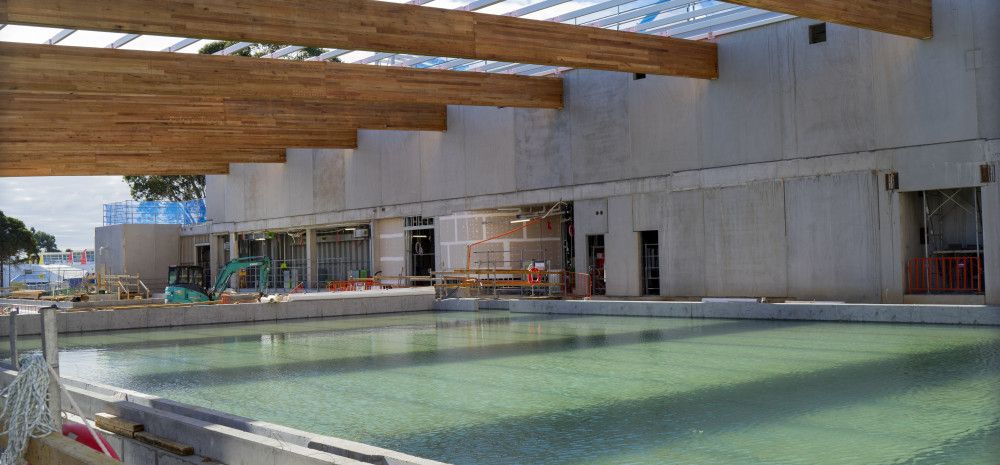 50m pool