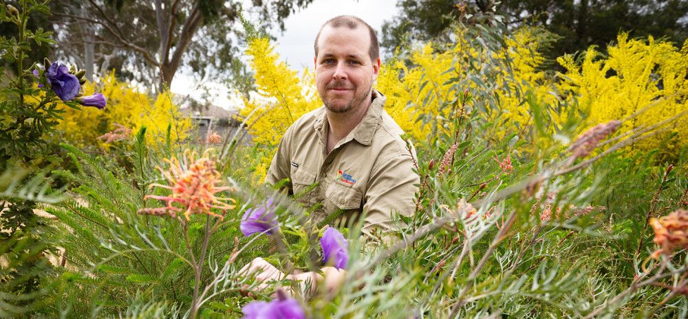A man looking at some Australian flowers