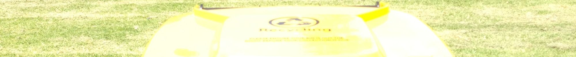 Yellow lid bin