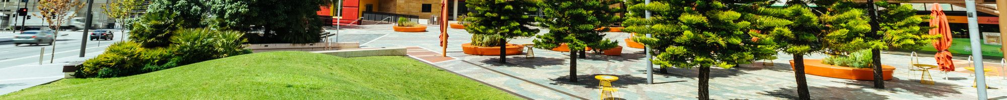 Harmony Square
