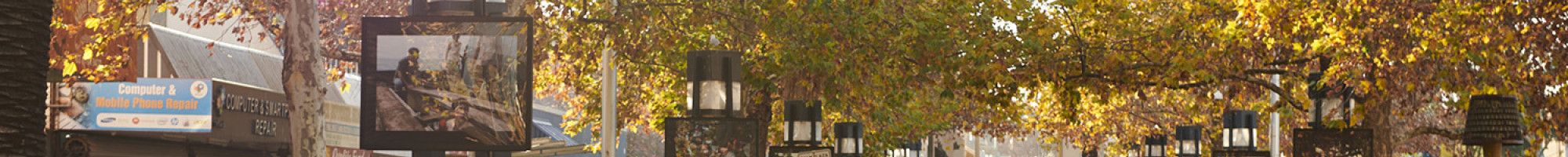 Art display in Palm Plaza