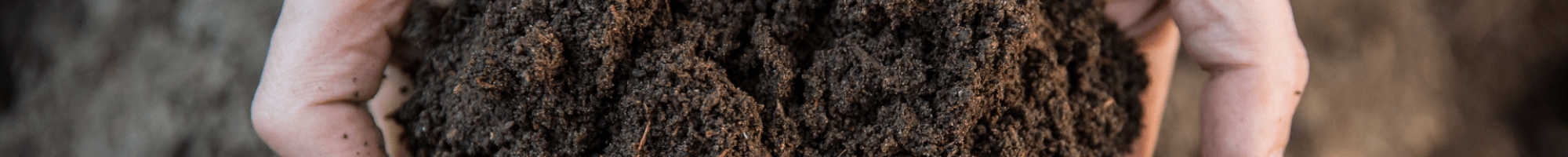 Soil