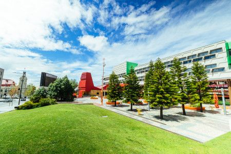 A stand of trees in front of a large civic building with a cloudy blue sky overhead.