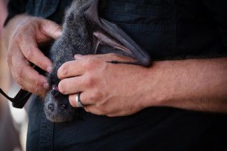 People enjoying the festival.