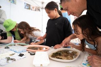 People enjoying the festival.