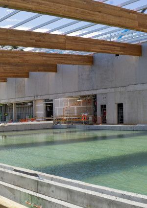 50m pool